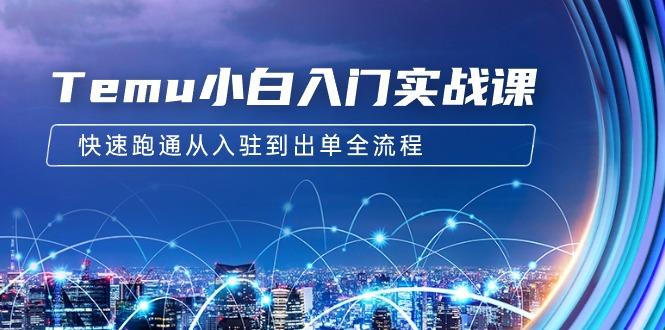 (9295期)Temu小白入门实战课：跨境拼多多电商培训 快速跑通从入驻到出单全流程-12节-木白网创