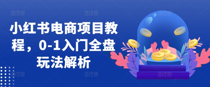 小红书电商项目教程，0-1入门全盘玩法解析-木白网创
