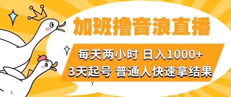 加班撸音浪直播，每天两小时，日入1000+，直播话术才3句，3天起号，普通人快速拿结果【揭秘】-木白网创