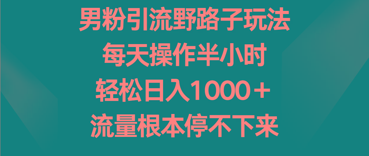 男粉引流野路子玩法，每天操作半小时轻松日入1000＋，流量根本停不下来-木白网创