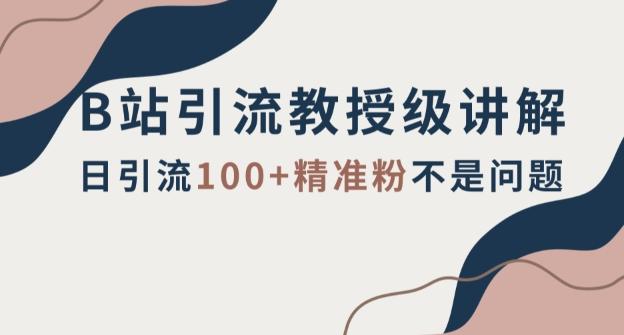 B站引流教授级讲解，细节满满，日引流100+精准粉不是问题【揭秘】-木白网创