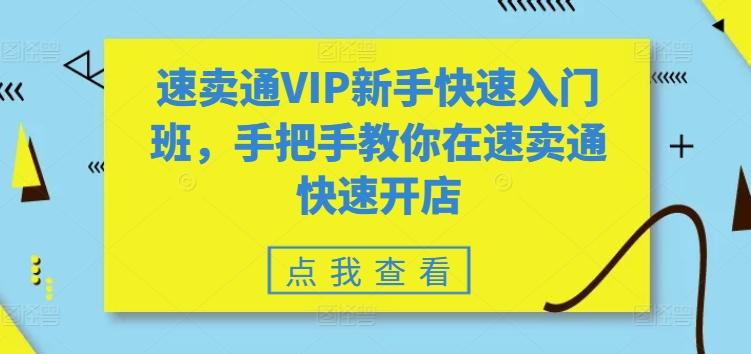 速卖通VIP新手快速入门班，手把手教你在速卖通快速开店-木白网创