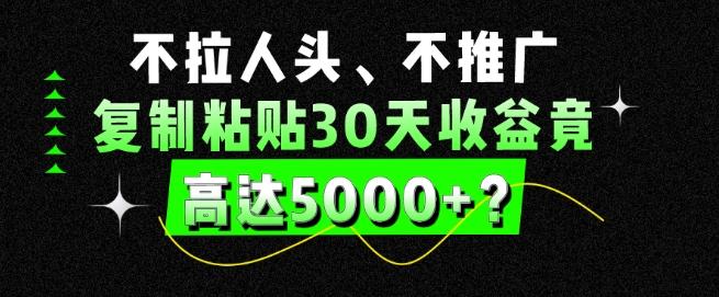 不拉人头、不推广，复制粘贴30天收益竟高达5000+？-木白网创