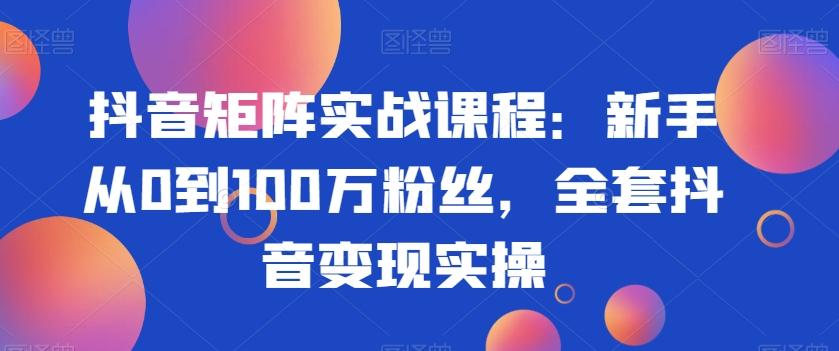抖音矩阵实战课程：新手从0到100万粉丝，全套抖音变现实操-木白网创