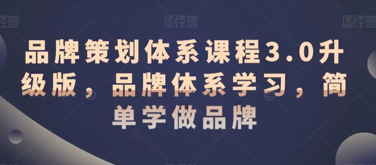 品牌策划体系课程3.0升级版，品牌体系学习，简单学做品牌-木白网创
