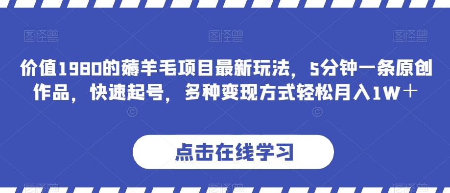 价值1980的薅羊毛项目最新玩法，5分钟一条原创作品，快速起号，多种变现方式轻松月入1W＋【揭秘】-木白网创