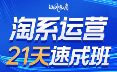 淘系运营21天速成班(更新9月)-木白网创