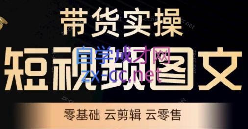 鑫哥·2024零基础短视频带货实操营-木白网创