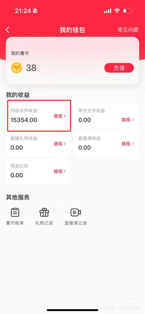 热门评论引爆小红书流量，作品制作简单，广告接到手软，月入过万不是梦-木白网创