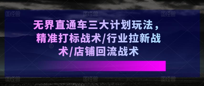无界直通车三大计划玩法，精准打标战术/行业拉新战术/店铺回流战术-木白网创