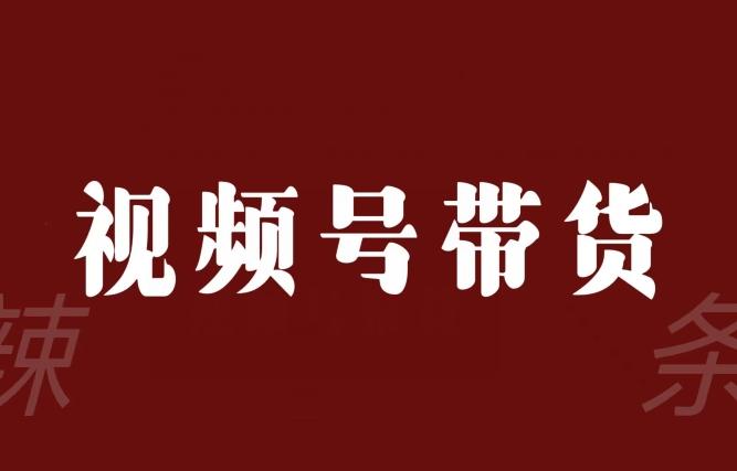 视频号带货联盟，赚信息差的带货钱，只需手机随时随地都可以做！-木白网创