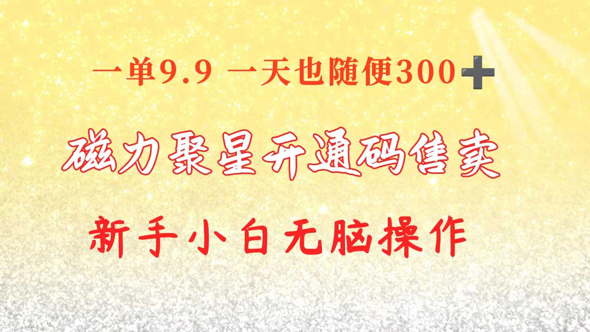 快手磁力聚星码信息差 售卖  一单卖9.9  一天也轻松300+ 新手小白无脑操作-木白网创
