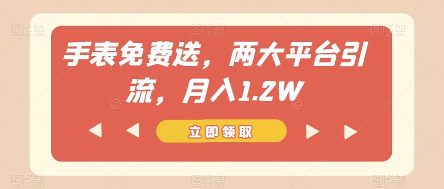 手表免费送，两大平台引流，月入1.2W【揭秘】-木白网创
