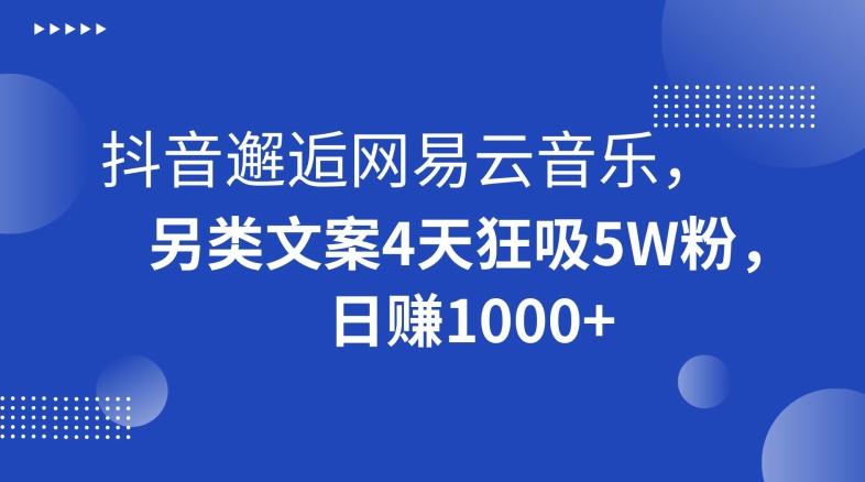 抖音邂逅网易云音乐，另类文案4天狂吸5W粉，日赚1000+【揭秘】-木白网创