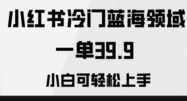 小红书冷门蓝海领域，一单39.9，小白可轻松上手-木白网创