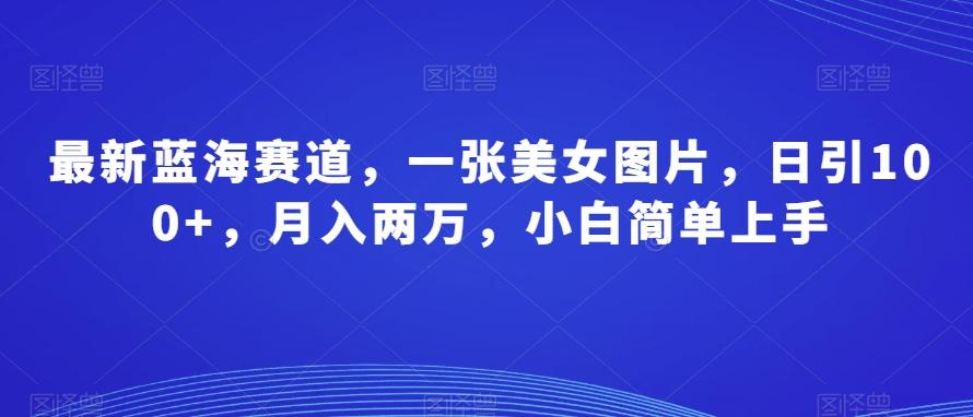 最新蓝海赛道，一张美女图片，日引100+，月入两万，小白简单上手-木白网创