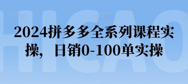 2024拼多多全系列课程实操，日销0-100单实操【必看】-木白网创