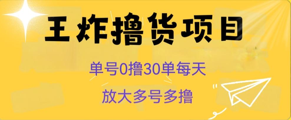 王炸撸货项目，单号0撸30单每天，多号多撸【揭秘】-木白网创