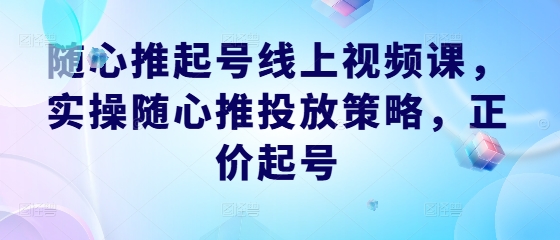随心推起号线上视频课，实操随心推投放策略，正价起号-木白网创