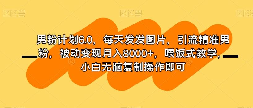 男粉计划6.0，每天发发图片，引流精准男粉，被动变现月入8000+，喂饭式教学，小白无脑复制操作即可-木白网创