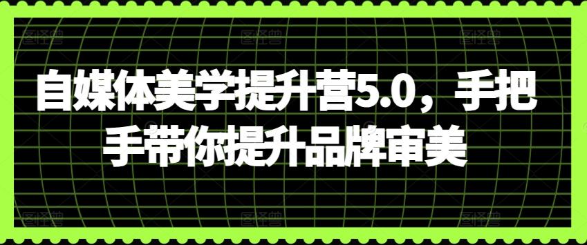 自媒体美学提升营5.0，手把手带你提升品牌审美-木白网创