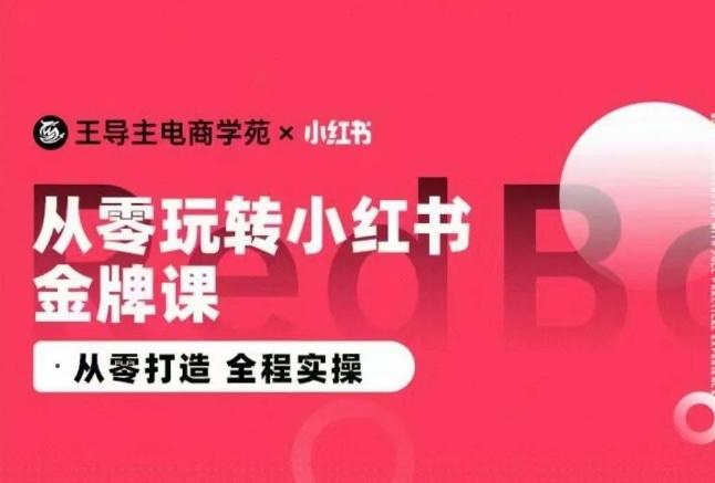王导主·小红书电商运营实操课，​从零打造  全程实操-木白网创