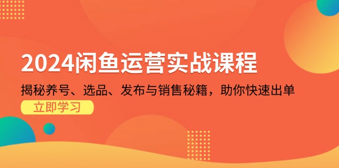 2024闲鱼运营实战课程：揭秘养号、选品、发布与销售秘籍，助你快速出单-木白网创