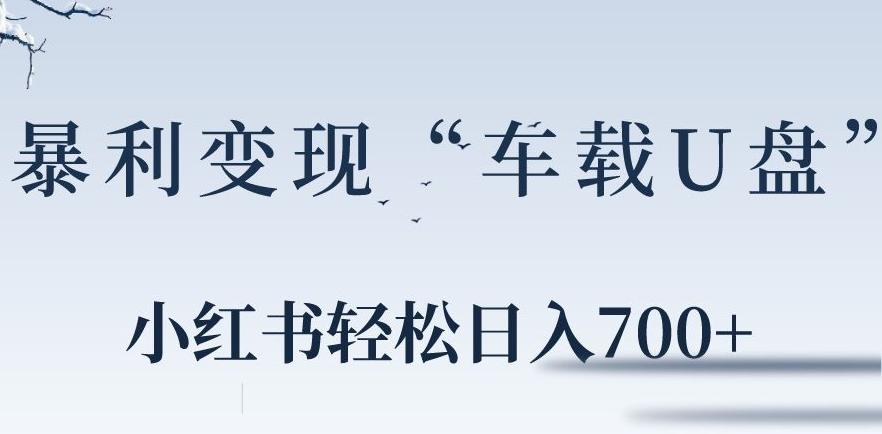 小红书“车载U盘”暴利引流，日入700+-木白网创