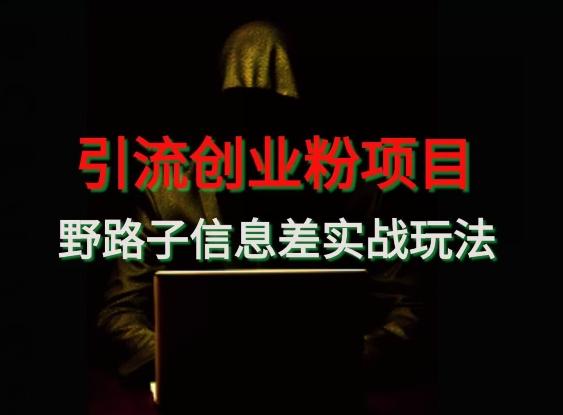 【引流创业粉】野路子信息差玩法实战教学-木白网创