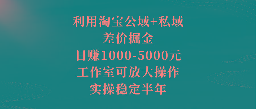 利用淘宝公域+私域差价掘金，日赚1000-5000元，工作室可放大操作，实操…-木白网创
