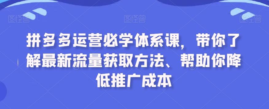 拼多多运营必学体系课，带你了解最新流量获取方法、帮助你降低推广成本-木白网创