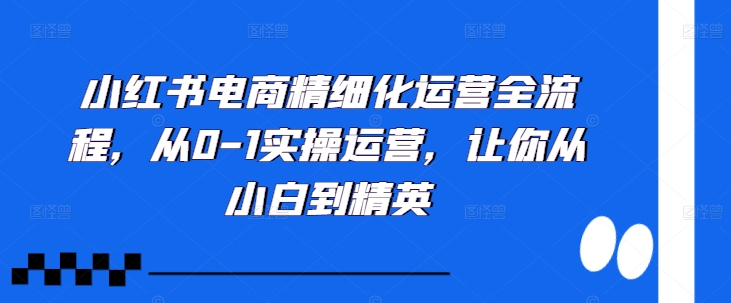 小红书电商精细化运营全流程，从0-1实操运营，让你从小白到精英-木白网创