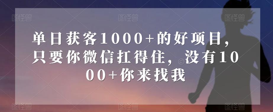 单日获客1000+的好项目，只要你微信扛得住，没有1000+你来找我【揭秘】-木白网创