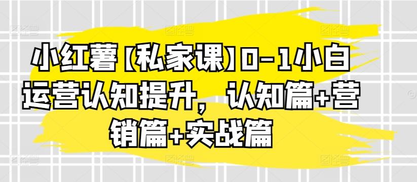 小红薯【私家课】0-1小白运营认知提升，认知篇+营销篇+实战篇-木白网创