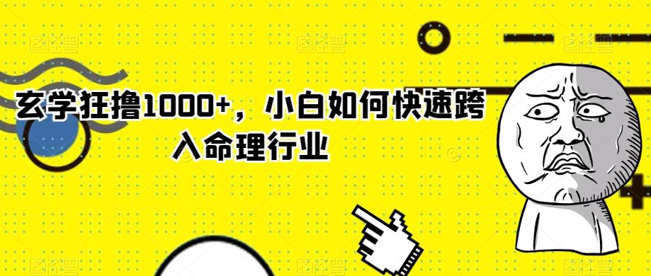玄学狂撸1000+，小白如何快速跨入命理行业-木白网创