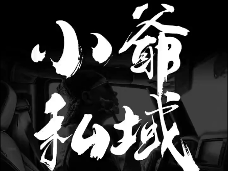 小爷·私域项目操盘手-木白网创