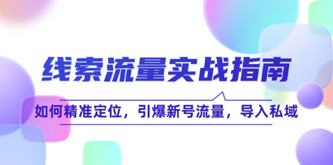 线 索 流 量-实战指南：如何精准定位，引爆新号流量，导入私域-木白网创