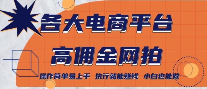 各大电商平台高佣金网拍，操作简单易上手，执行就能赚钱，小白也能做-木白网创