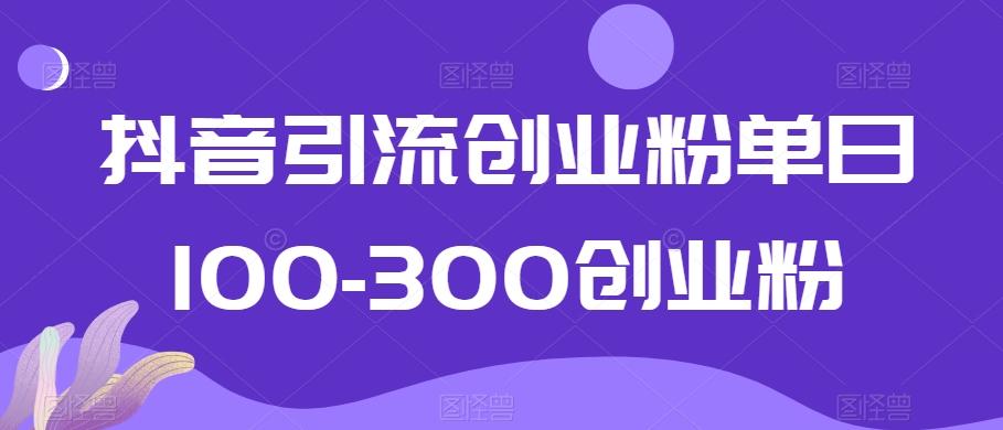 抖音引流创业粉单日100-300创业粉【揭秘】-木白网创