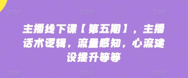 主播线下课【第五期】，主播话术逻辑，流量感知，心流建设提升等等-木白网创