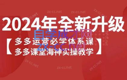 海神老师·拼多多运营必学体系课-木白网创