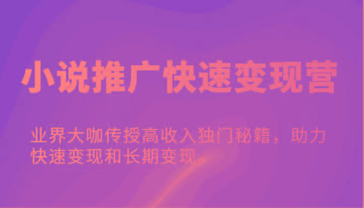 小说推广快速变现营-业界大咖传授高收入独门秘籍，助力快速变现和长期变现。-木白网创