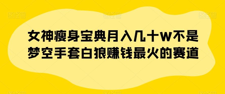 女神瘦身宝典月入几十W不是梦空手套白狼赚钱最火的赛道【揭秘】-木白网创
