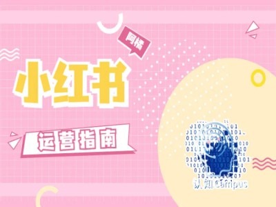小红书运营指南，没有套路，全是经验-木白网创