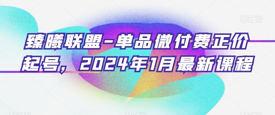 臻曦联盟-单品微付费正价起号，2024年1月最新课程-木白网创