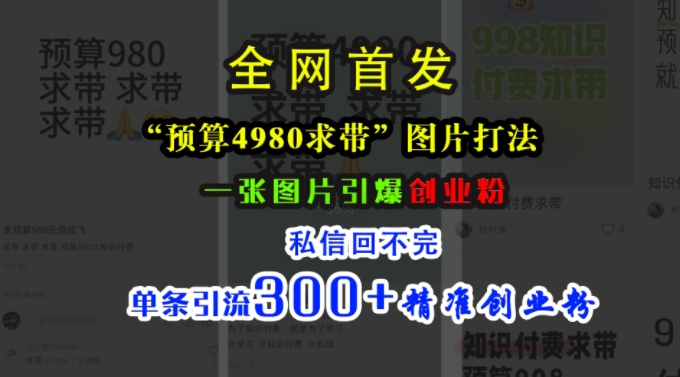 小红书“预算4980带我飞”图片打法，一张图片引爆创业粉，私信回不完，单条引流300+精准创业粉-木白网创