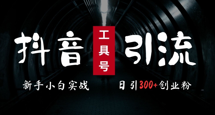 2024最新抖音工具号引流玩法，高效日引300+创业粉，当天变现5k，小白也可成为实战高手-木白网创