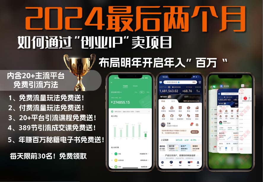 2024最后两个月如何通过”创业IP“卖项目年入”百万“,创业IP+最强引流…-木白网创