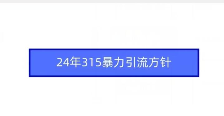 24年315暴力引流方针-木白网创