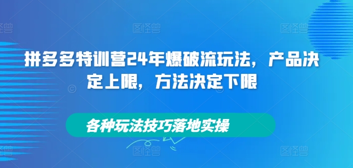 拼多多特训营24年爆破流玩法，产品决定上限，方法决定下限，各种玩法技巧落地实操-木白网创
